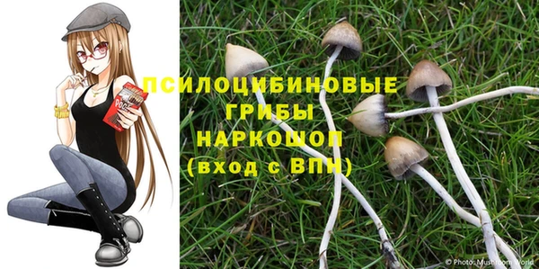 spice Армянск